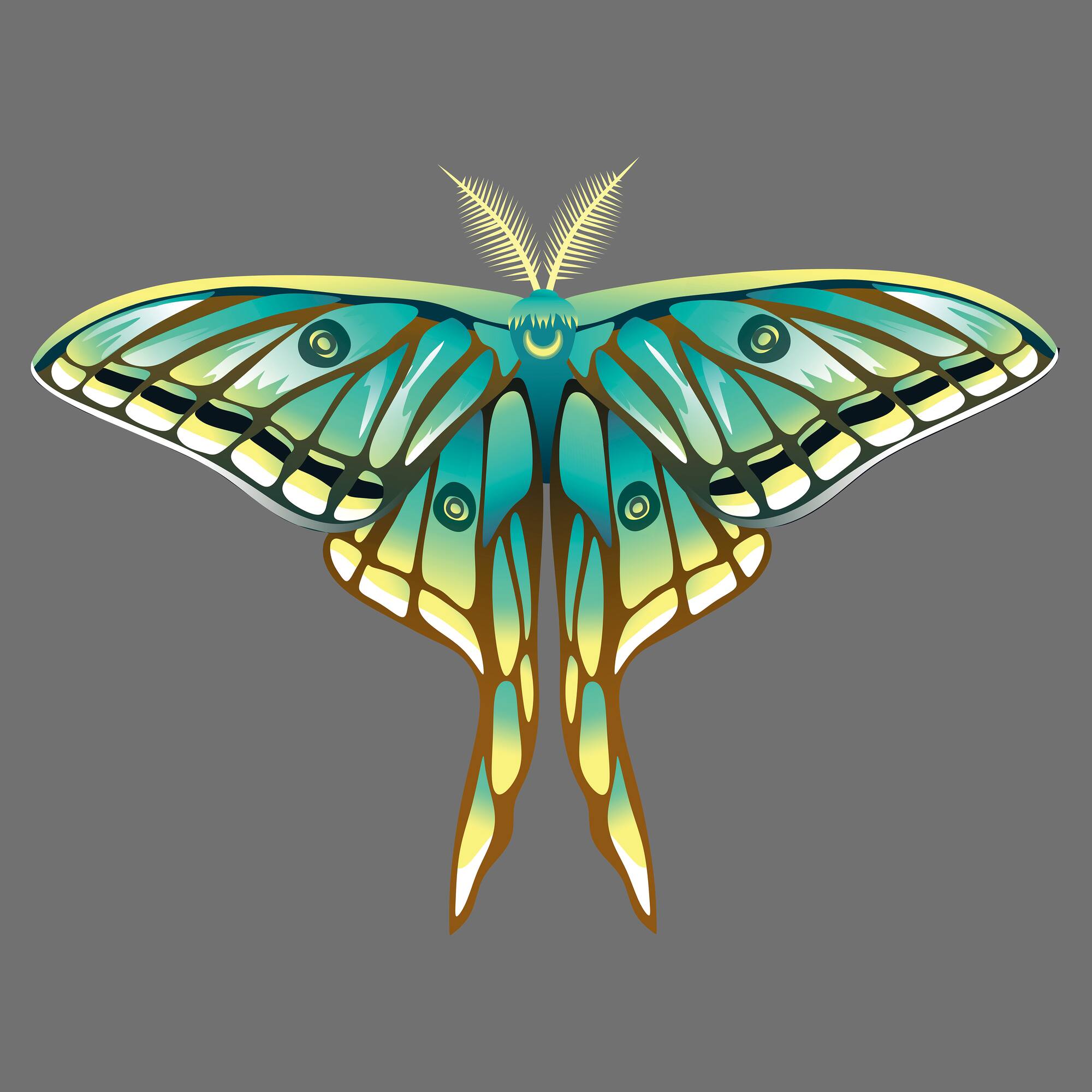 4" x 4" Moths Canvas Painting Kit by Craft Smart®